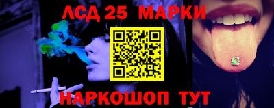 гидропоника Можга