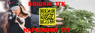 гидропоника Можга