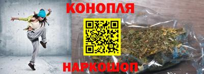 гидропоника Можга
