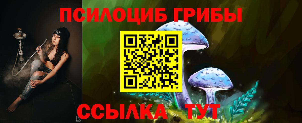 как найти наркотики  Псилоцибиновые грибы мицелий  Вход с VPN  Сухой Лог 